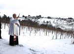 Blagoslov biskupijskog vinograda i mladoga vina